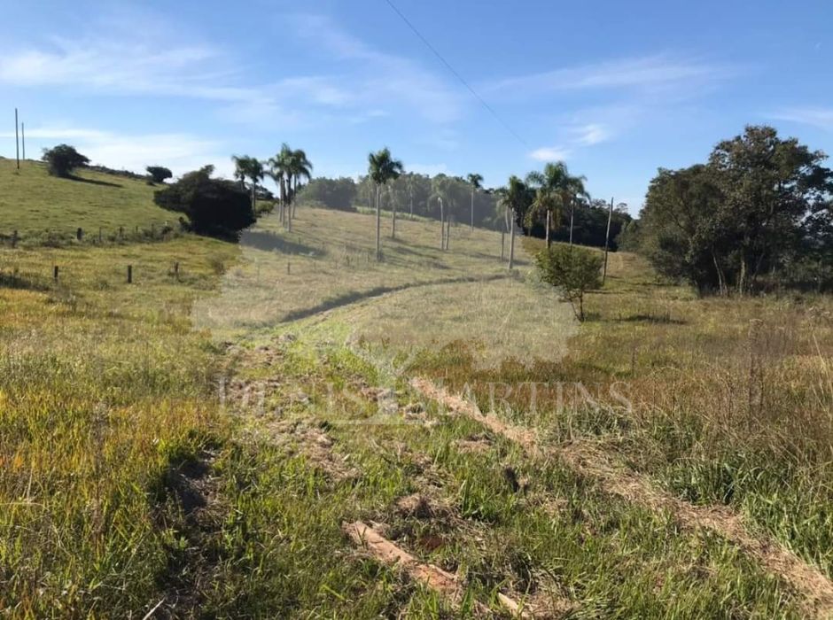 Sítio 4 Hectares em Lomba Grande Novo Hamburgo Denis Martins