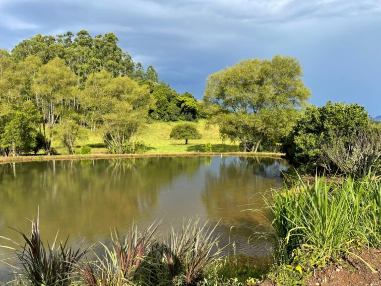 🌳CHÁCARA DE 1 HECTARE COM ESCRITURA NO RIO DA ILHA, TAQUARA/RS🏝️