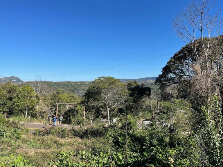 🌳Área de 9 hectares em Gramado – Serra Gaúcha ⛄️❄️