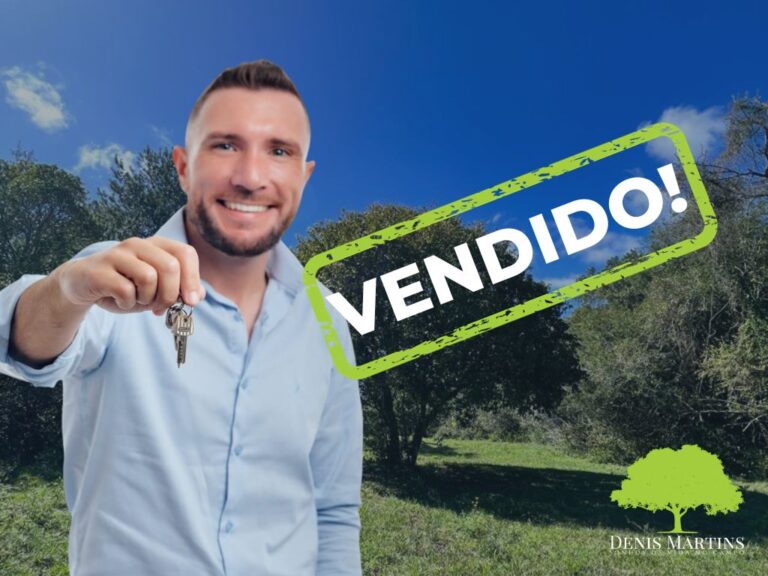 VENDIDO DENIS (58)