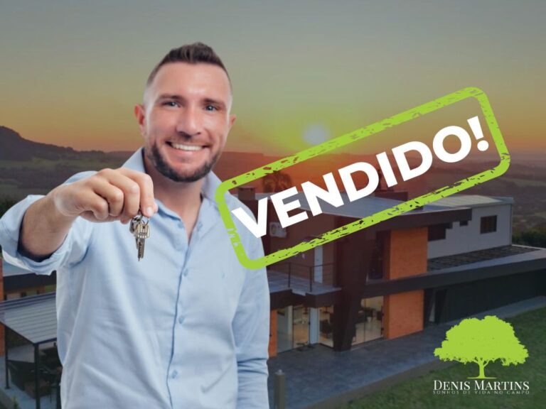 VENDIDO DENIS (80)